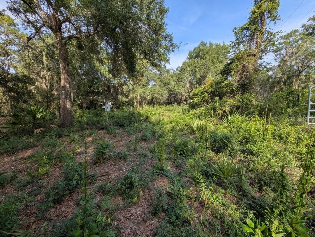 9747 NE 302nd Ct., Salt Springs, FL 32134
