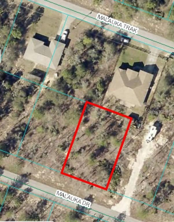 00 Malauka Dr. #Lot 8, Ocklawaha, FL 32179
