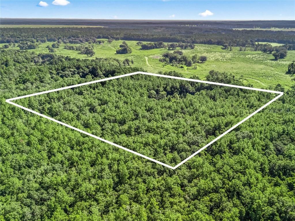 NW 150th Ave Rd., Micanopy, FL 32667