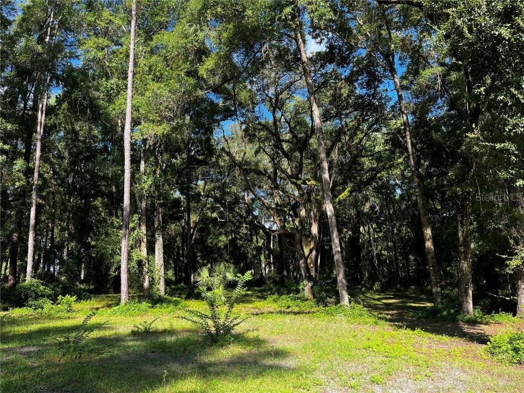 TBD Lake View Dr., Ocala, FL 34482