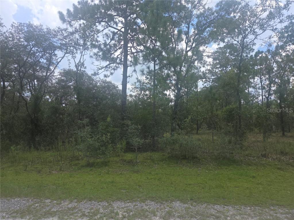 Lot 3 SE 129 Court Ct., Dunnellon, FL 34431