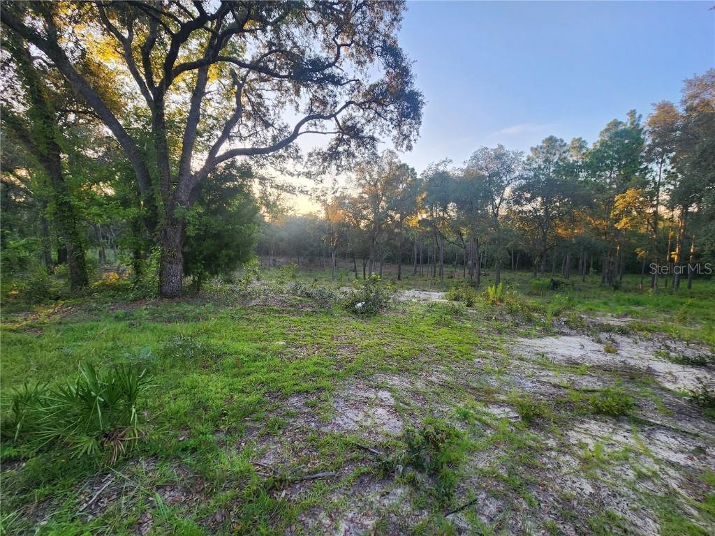 TBD NE 82nd Pl., Bronson, FL 32621