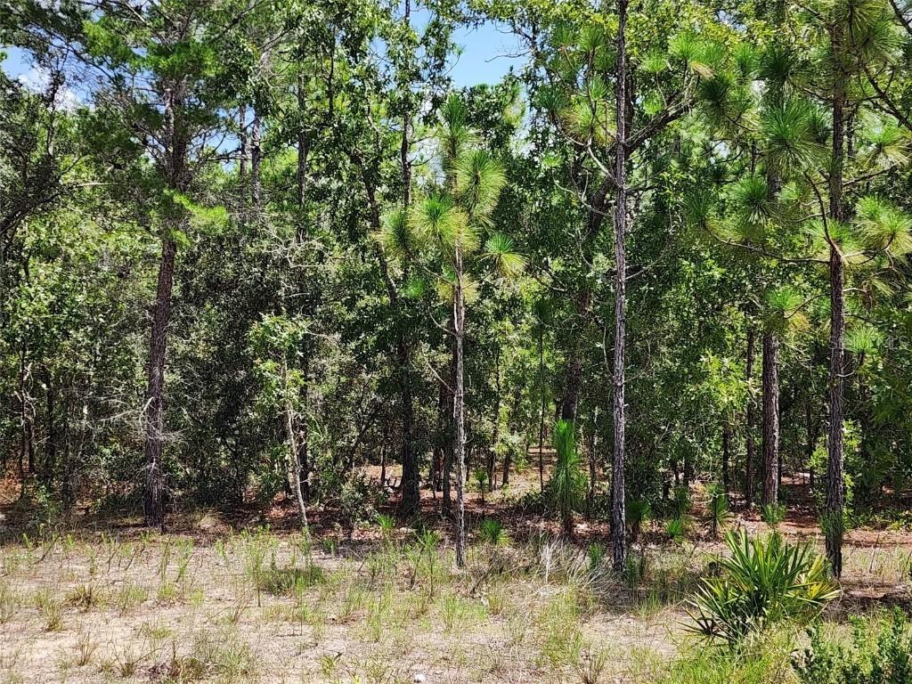 21 Whitewood St., Homosassa, FL 34446