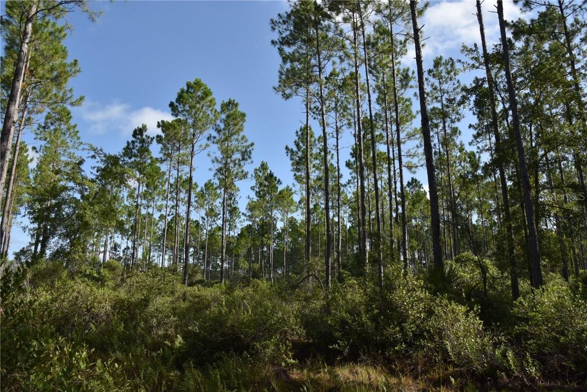 Off Se 30th St., Inglis, FL 34449