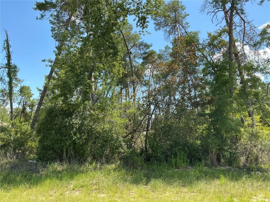 SW 21st Ter., Ocala, FL 34473