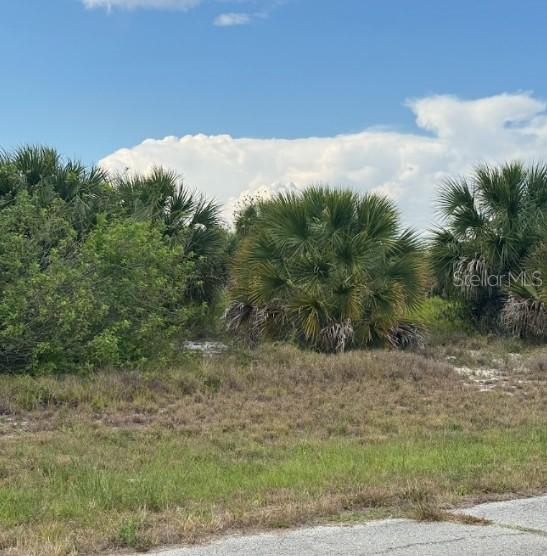 320 Kansas Ter., Labelle, FL 33935