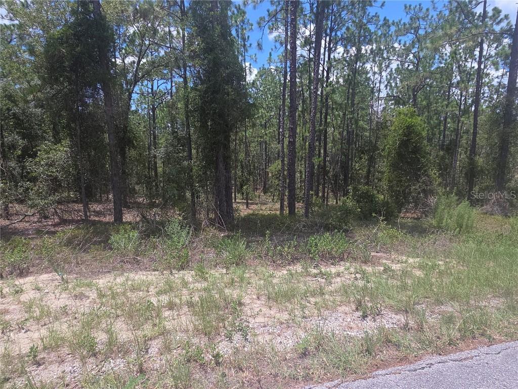Lot 34 SE 128 Ave., Dunnellon, FL 34431