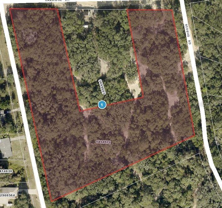 TBD Magnolia St., Lady Lake, FL 32159