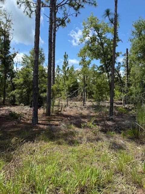 115 S Dakota St., Hawthorne, FL 32640
