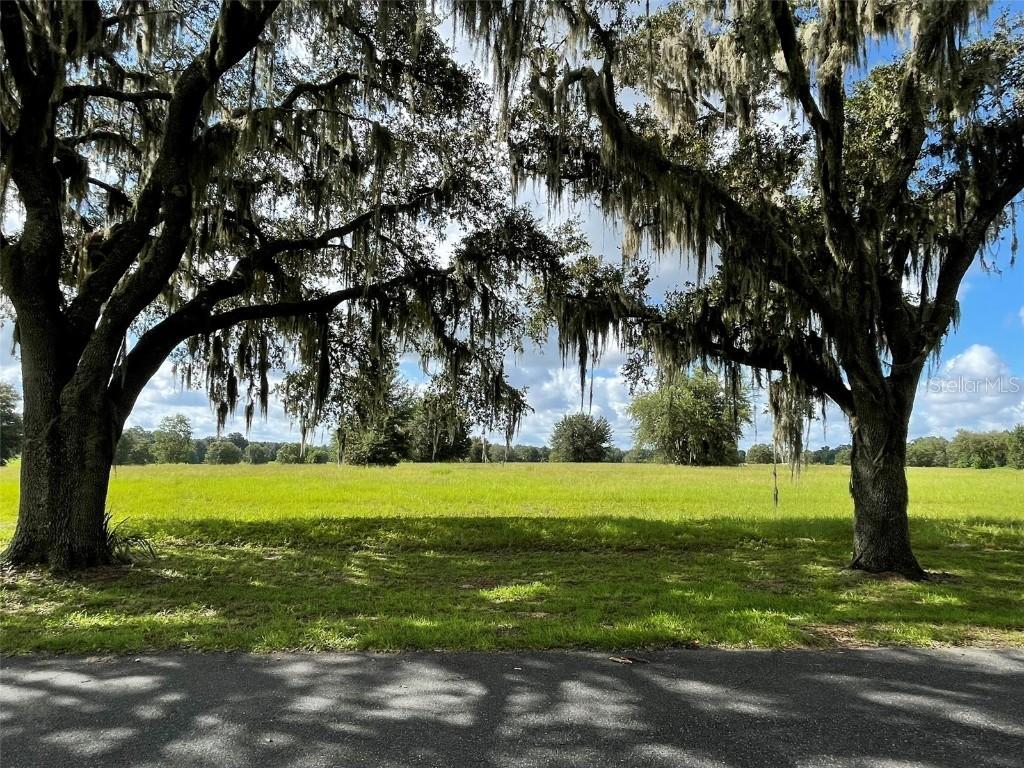 TBD SE 116th Place Rd., Ocala, FL 34480