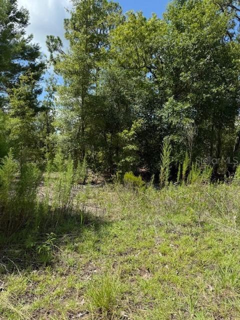 113 S Dakota St., Hawthorne, FL 32640
