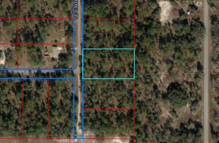 Lot 8 SE 139th Ct., Dunnellon, FL 34431