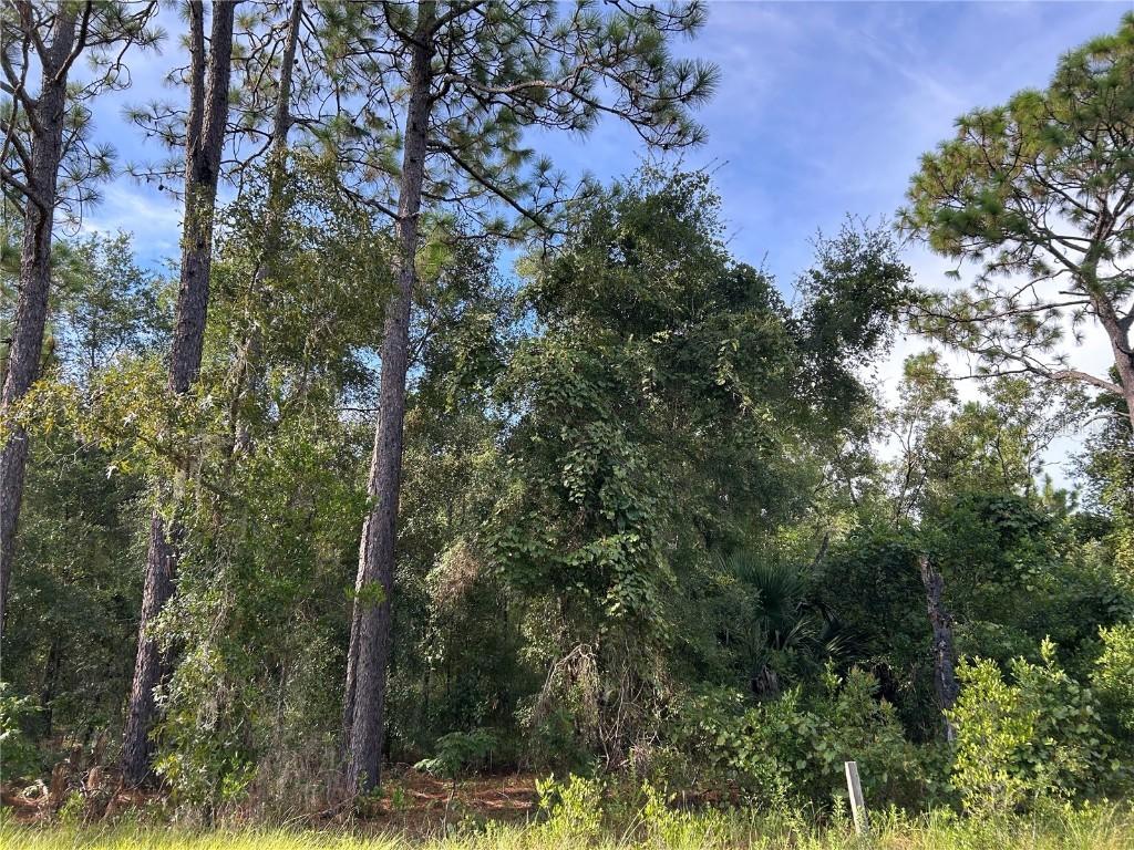 TBD NE 11th Pl., Williston, FL 32696