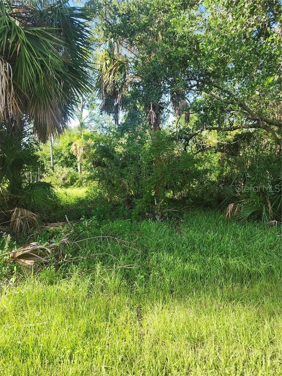 18185 Poston Avenue, Port Charlotte, FL 33948