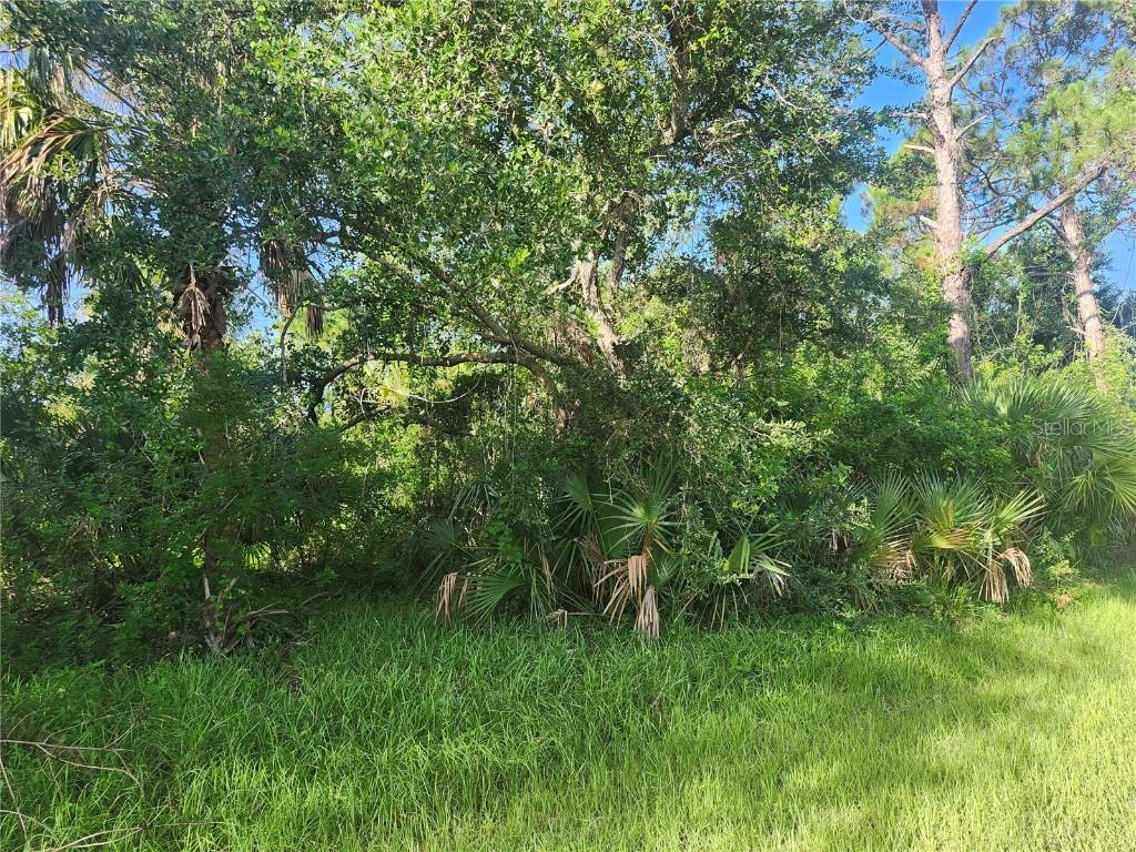 18193 Poston Avenue, Port Charlotte, FL 33948