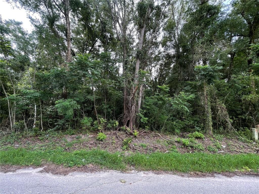 SE 135 Pl., Summerfield, FL 34491