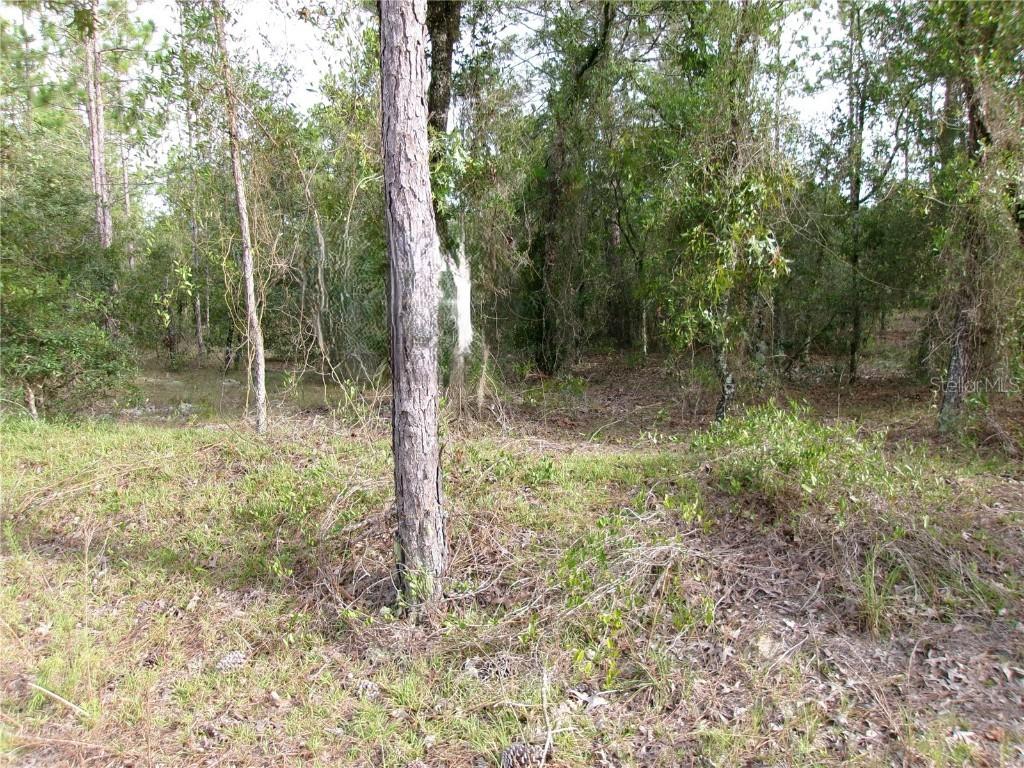 Lot 8 SW Nautilus Blvd., Dunnellon, FL 34431