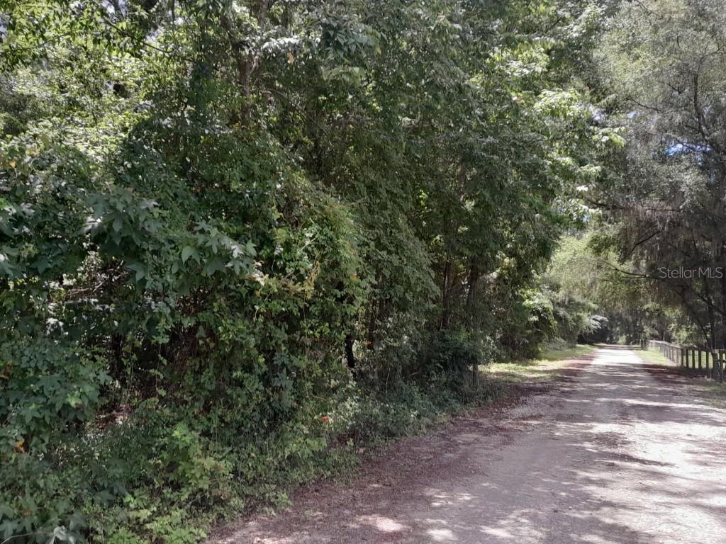 tbd NW 172nd Pl., Reddick, FL 32686
