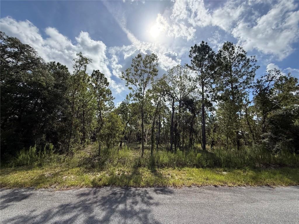 TBD SW Temple Heights Ct., Dunnellon, FL 34431