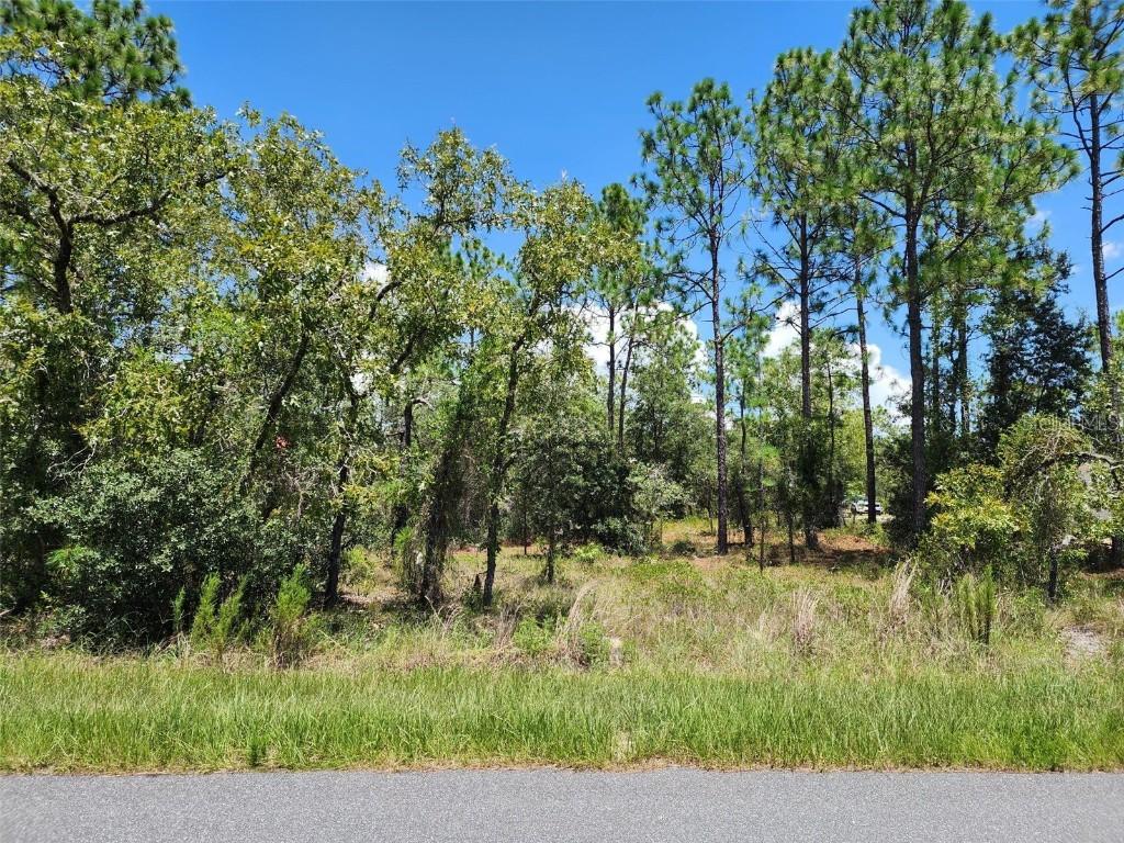 SW Beach Blvd., Dunnellon, FL 34431