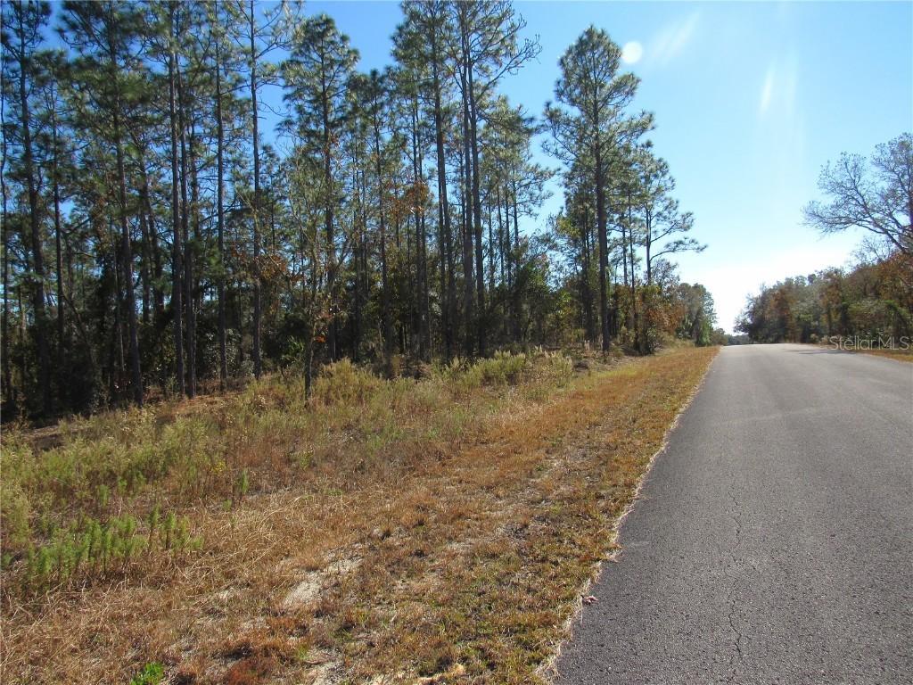 0000 SW Sands Pt Ave Lot 32 Ave., Dunnellon, FL 34431