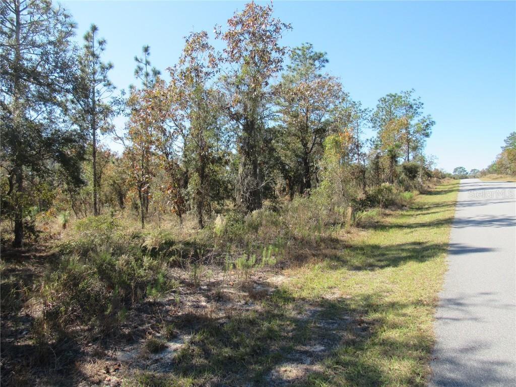 0000 SW Plaza Court Ct., Dunnellon, FL 34431