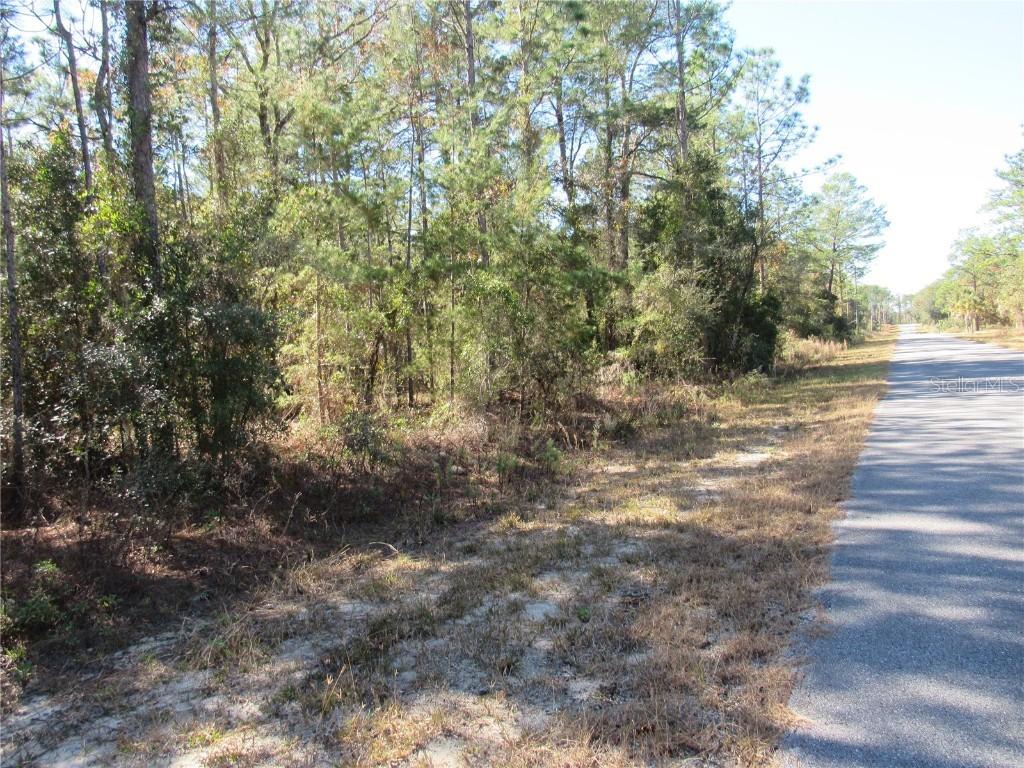 0000 SW Beaver Dr., Dunnellon, FL 34431