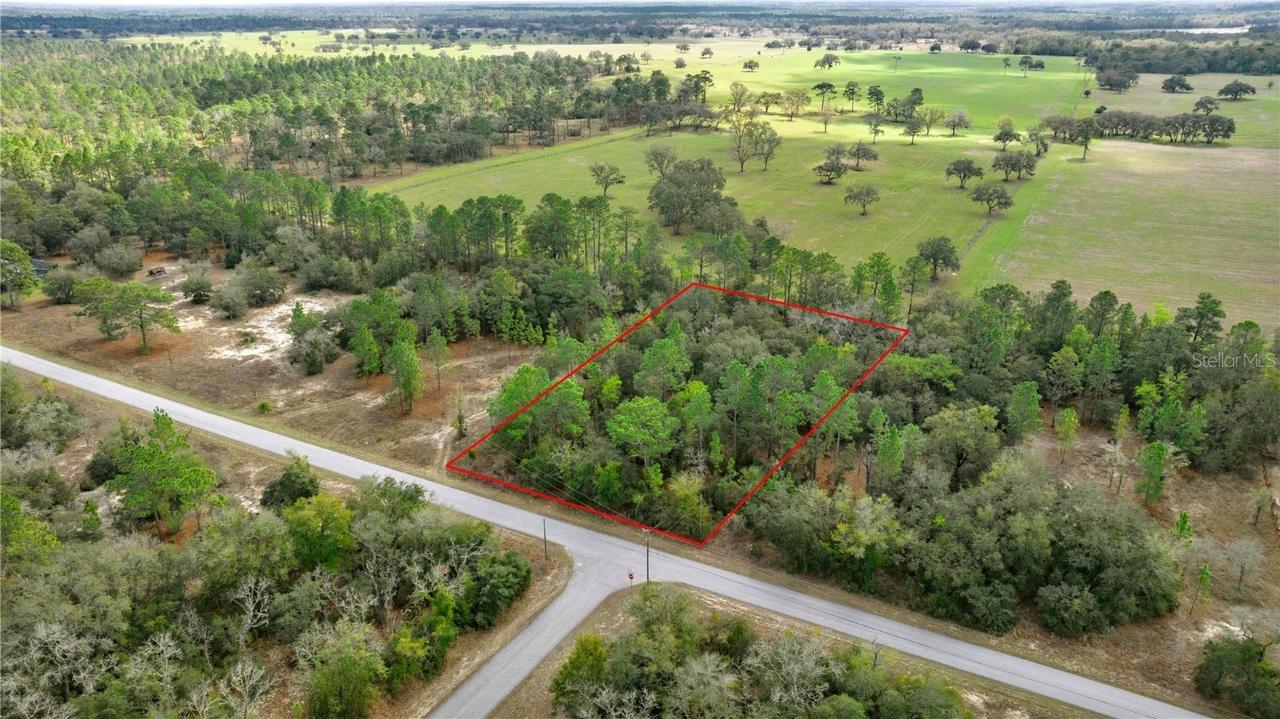 LOT22 SW Tiger Lake Blvd., Dunnellon, FL 34431