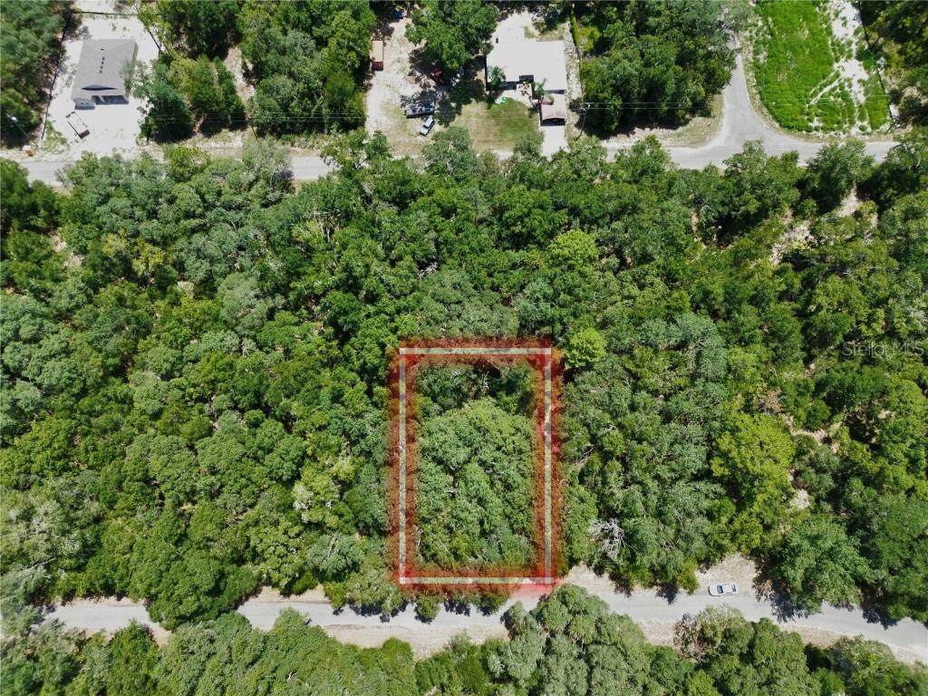 TBD SW Fisher Lane Dr., Ocklawaha, FL 32179