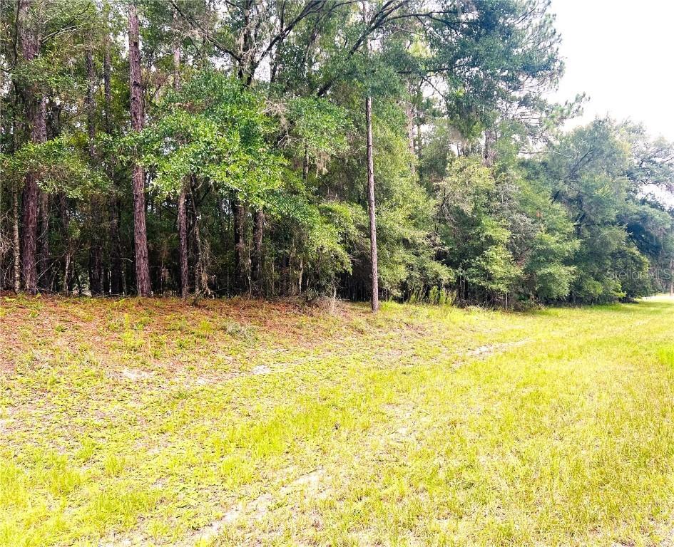 0000 SW 185 Avenue Road Rd., Dunnellon, FL 34432