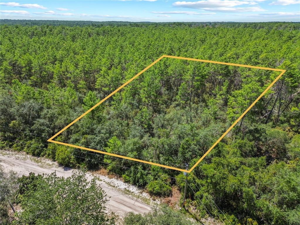 00 SE 142 Pl, Umatilla, FL 32784