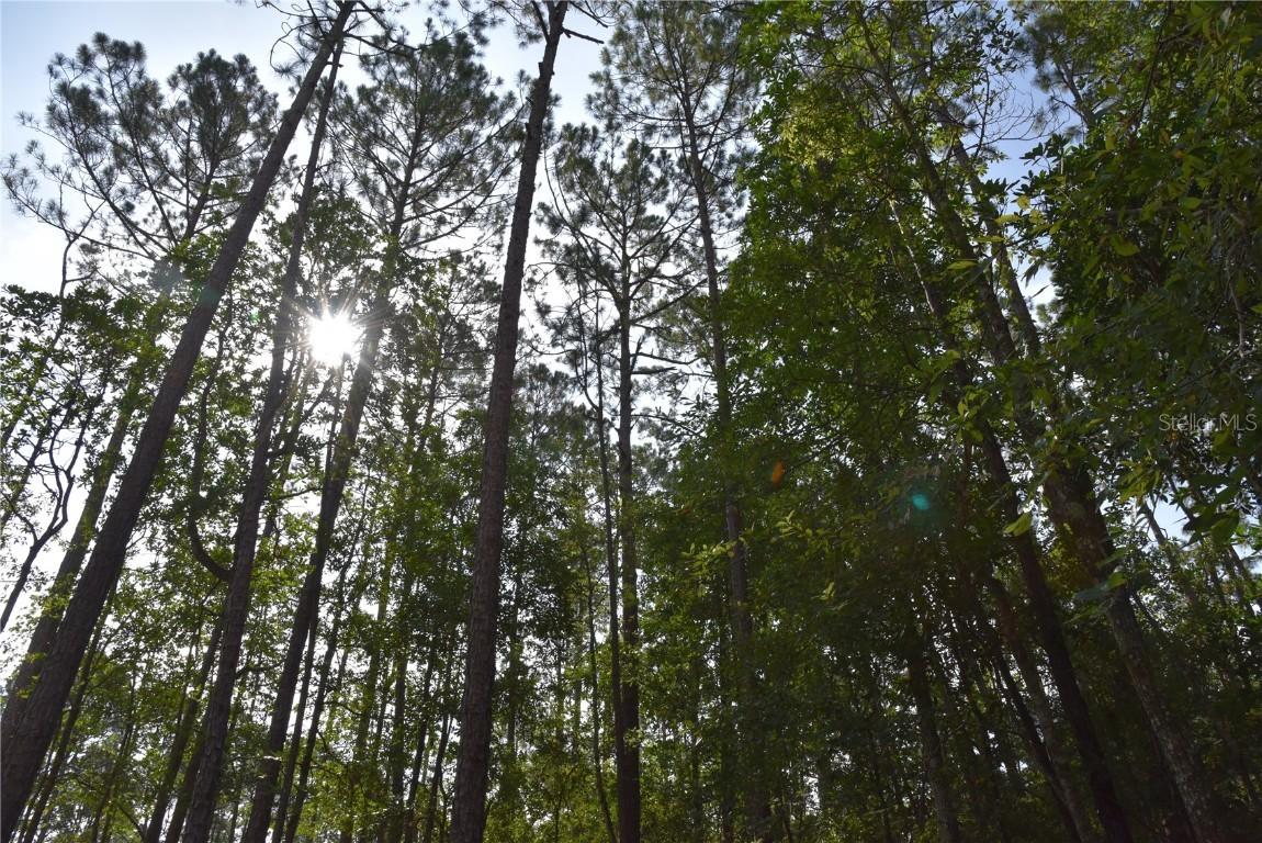 4050 Als Satch Rd., Middleburg, FL 32068
