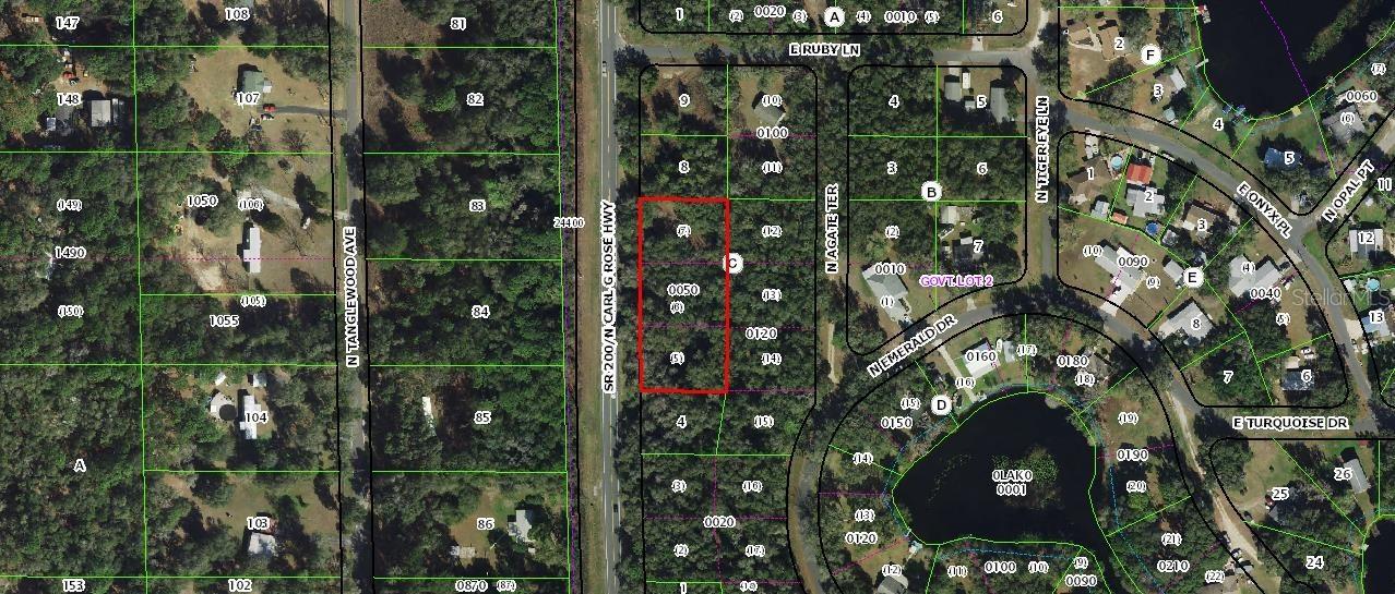 [Address Hidden by Seller], Hernando, FL 34442