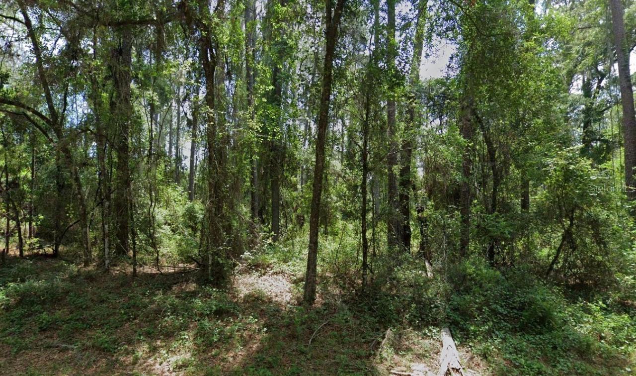 1032 Vercelli Ln., Citrus Springs, FL 34434