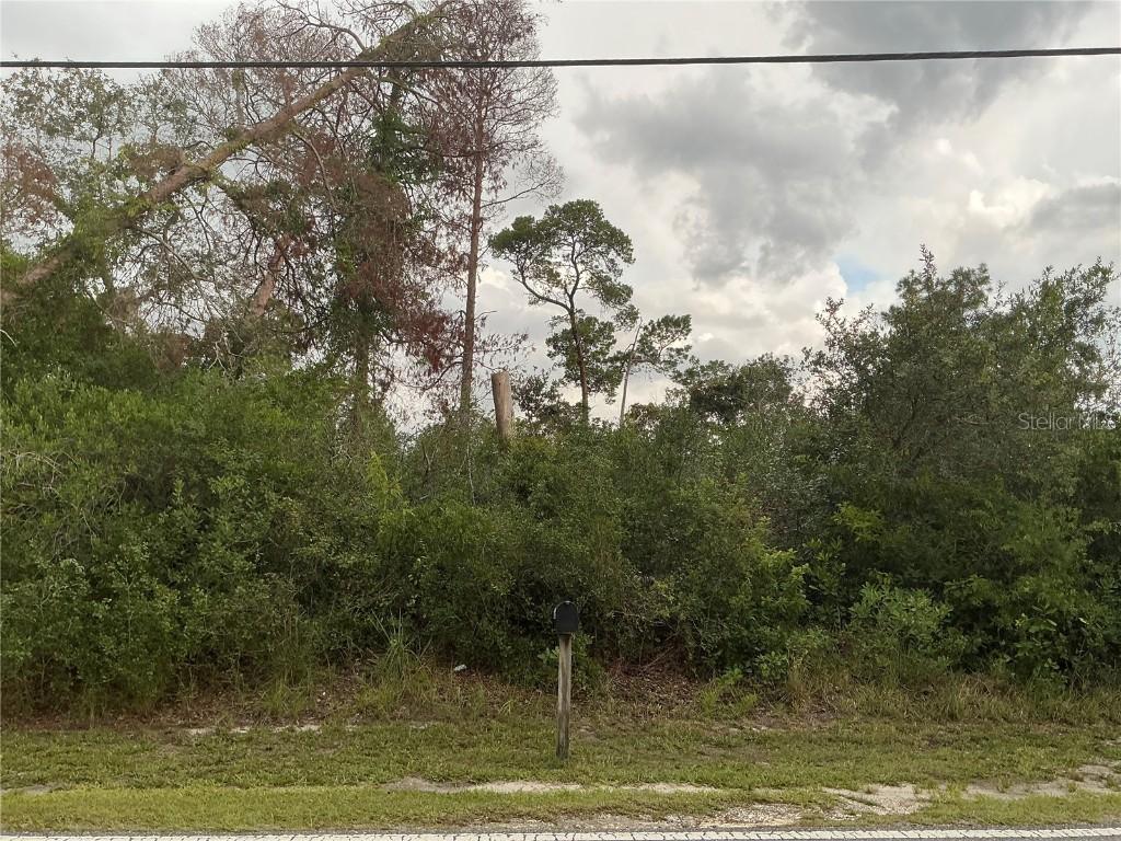 10128 Noddy Tern Rd., Weeki Wachee, FL 34613