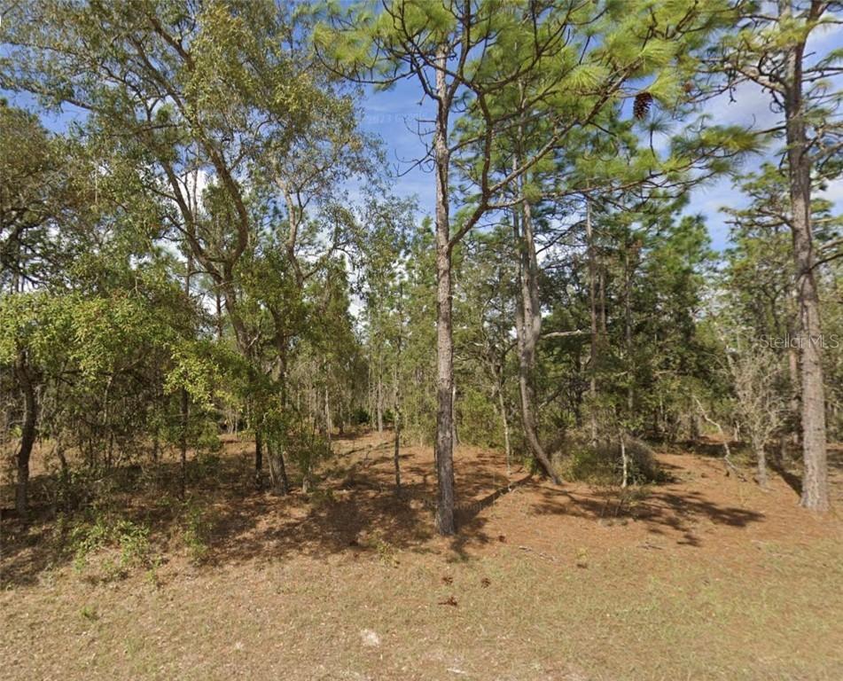 SW 85th Pl., Dunnellon, FL 34432