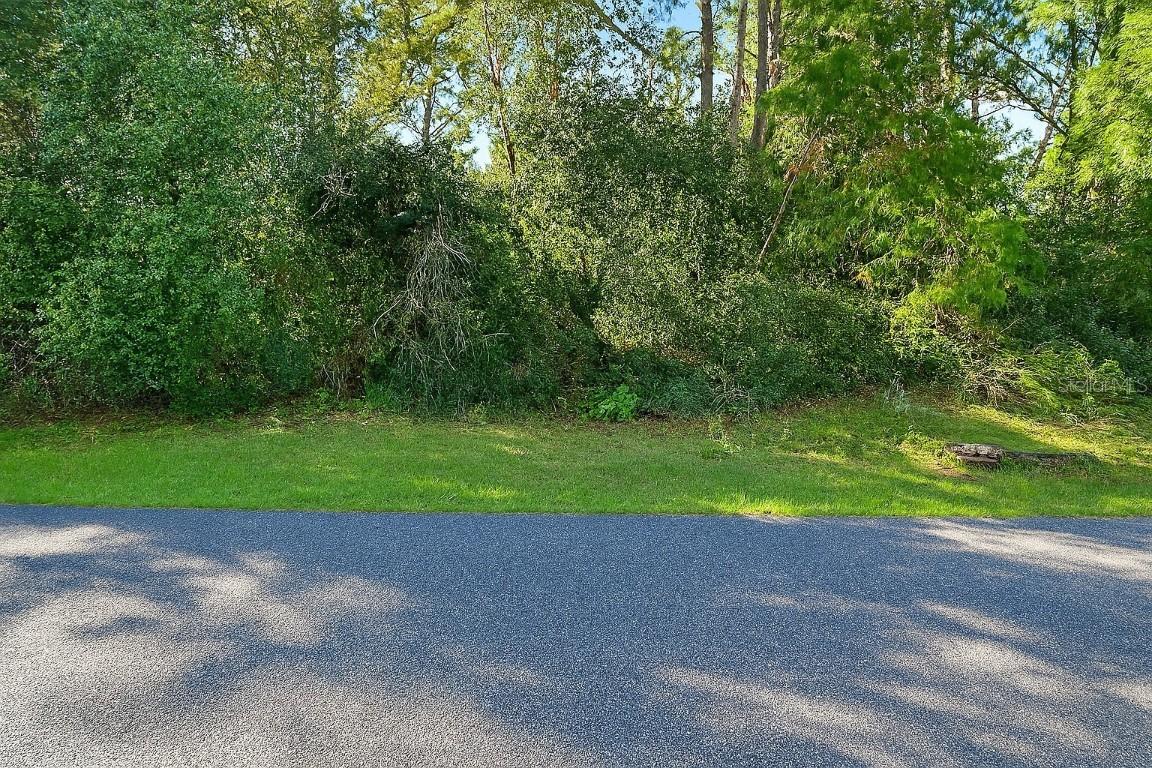 SW 146 Loop, Ocala, FL 34473