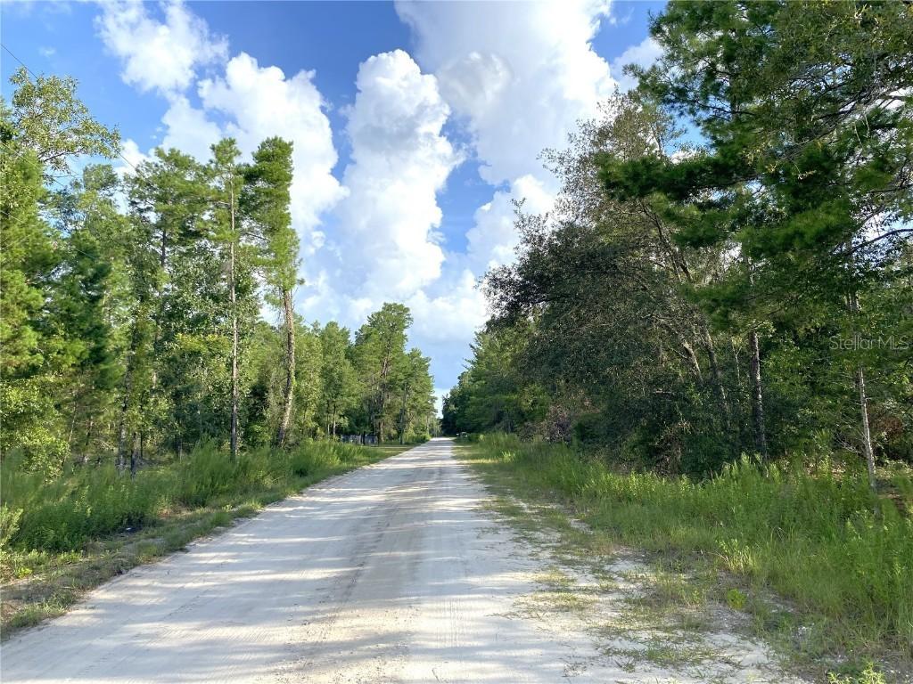 00 NE 139th Ave., Williston, FL 32696