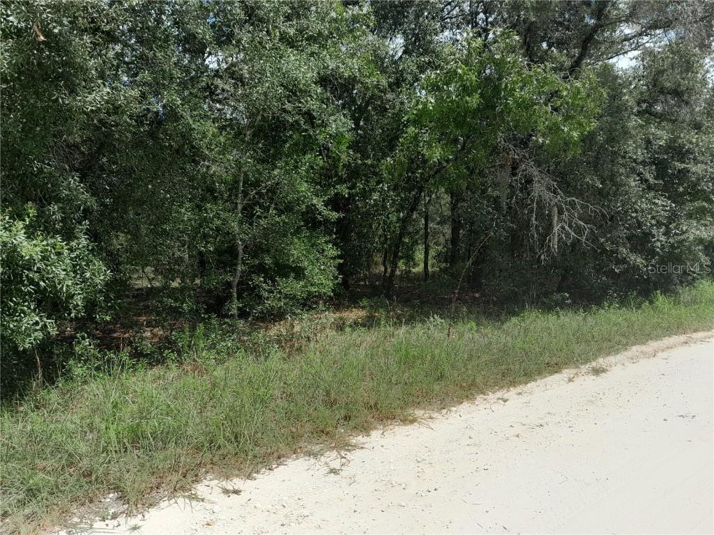 91 SE 142nd Ter., Williston, FL 32696
