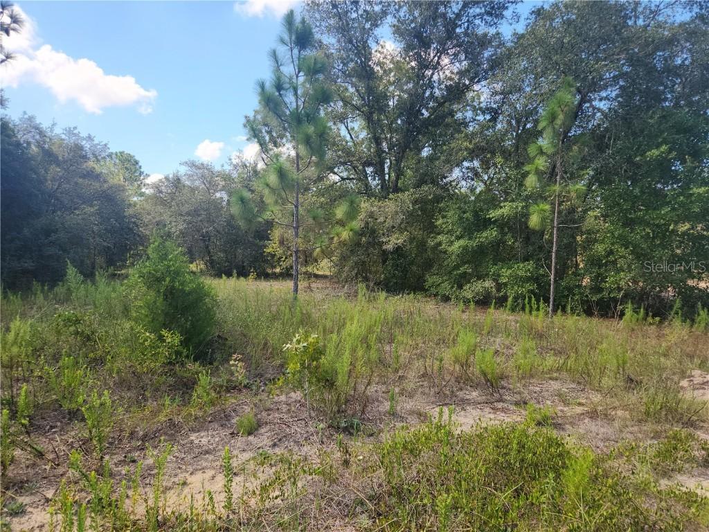 LOT 21 SW Rainbow Lakes Blvd., Dunnellon, FL 34431