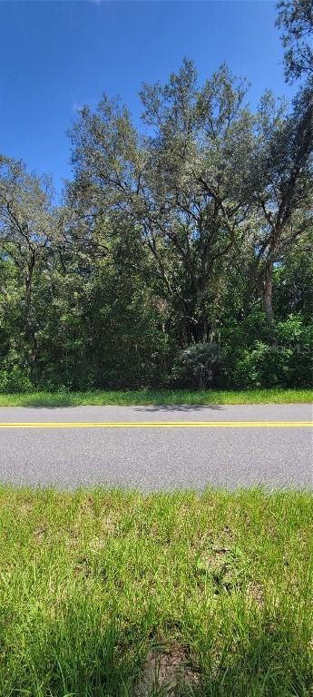 SW Beach Blvd., Dunnellon, FL 34431