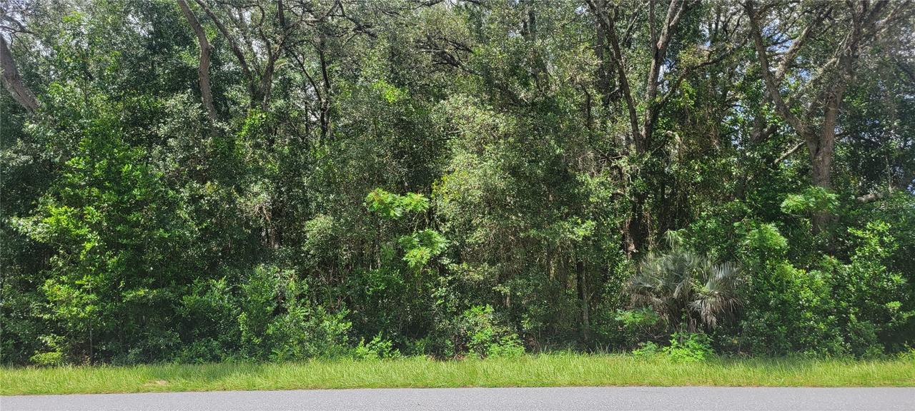 SW Beach Blvd., Dunnellon, FL 34431