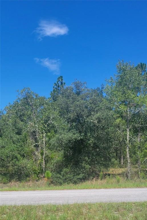 SW Big Bear Ridge, Dunnellon, FL 34431