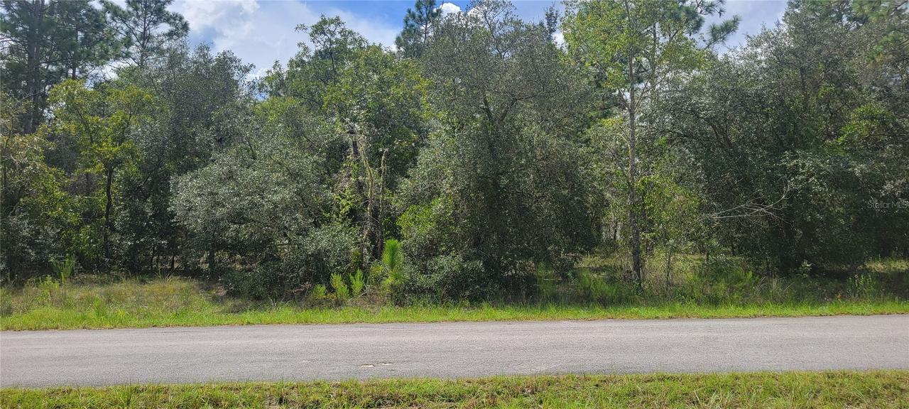 SW Big Bear Ridge, Dunnellon, FL 34431