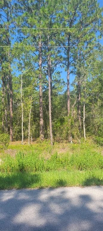 NW Redwood Rd., Dunnellon, FL 34431