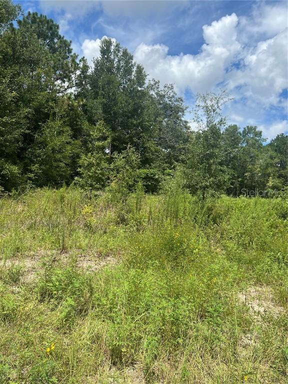 SE 42nd Terrace, Summerfield, FL 34491