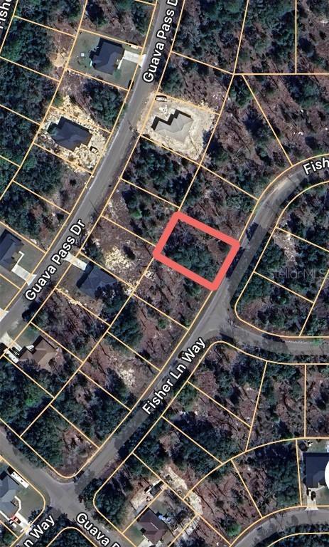 Fisher Lane Way #22, Ocklawaha, FL 32179