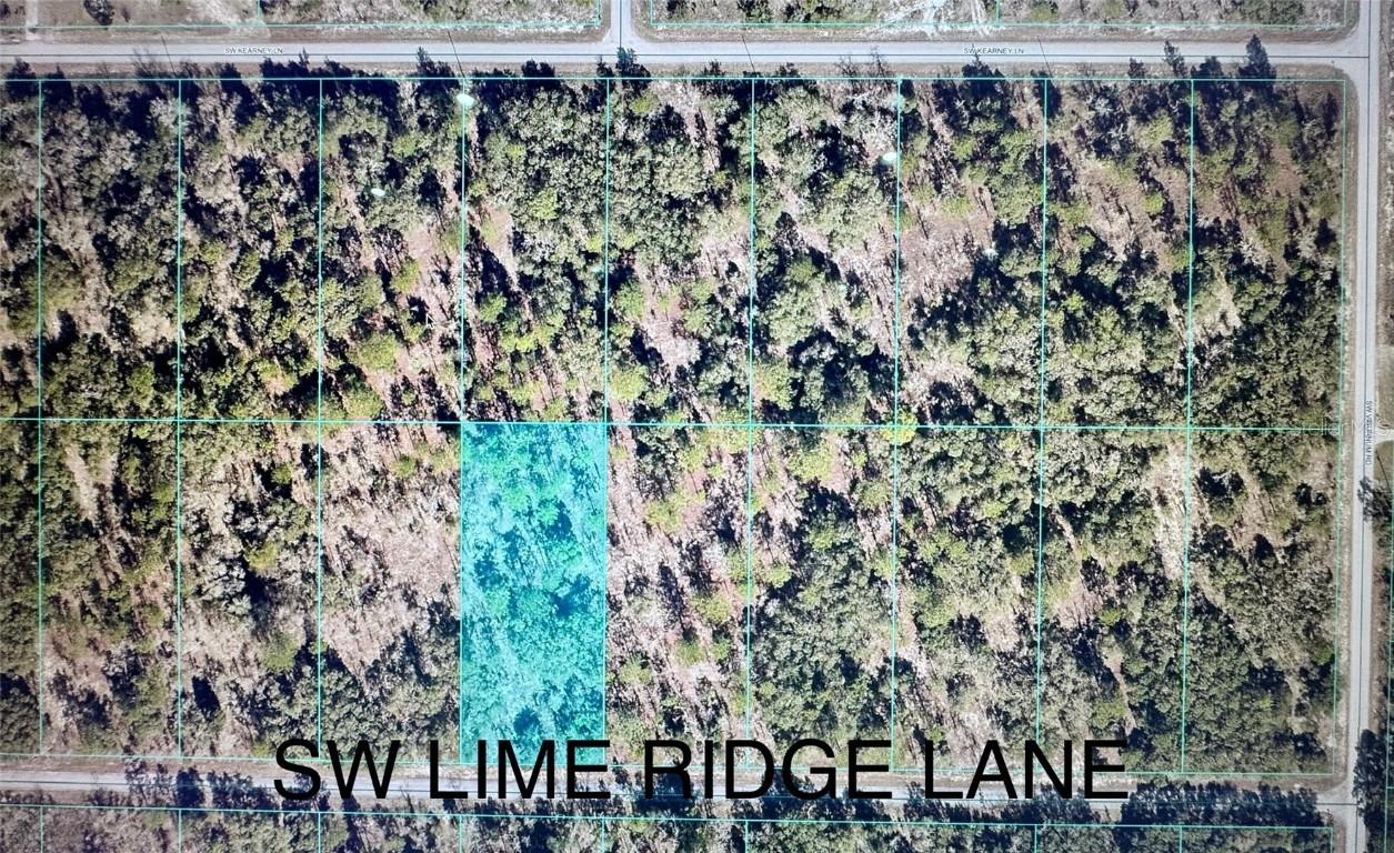 TBD SW Limeridge Ln., Dunnellon, FL 34431