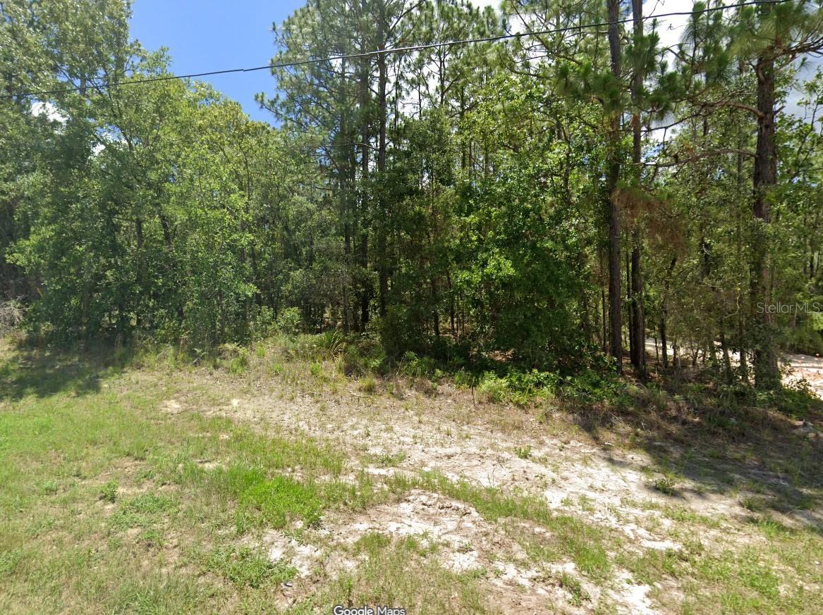 TBD SW 73rd Avenue Rd., Ocala, FL 34473