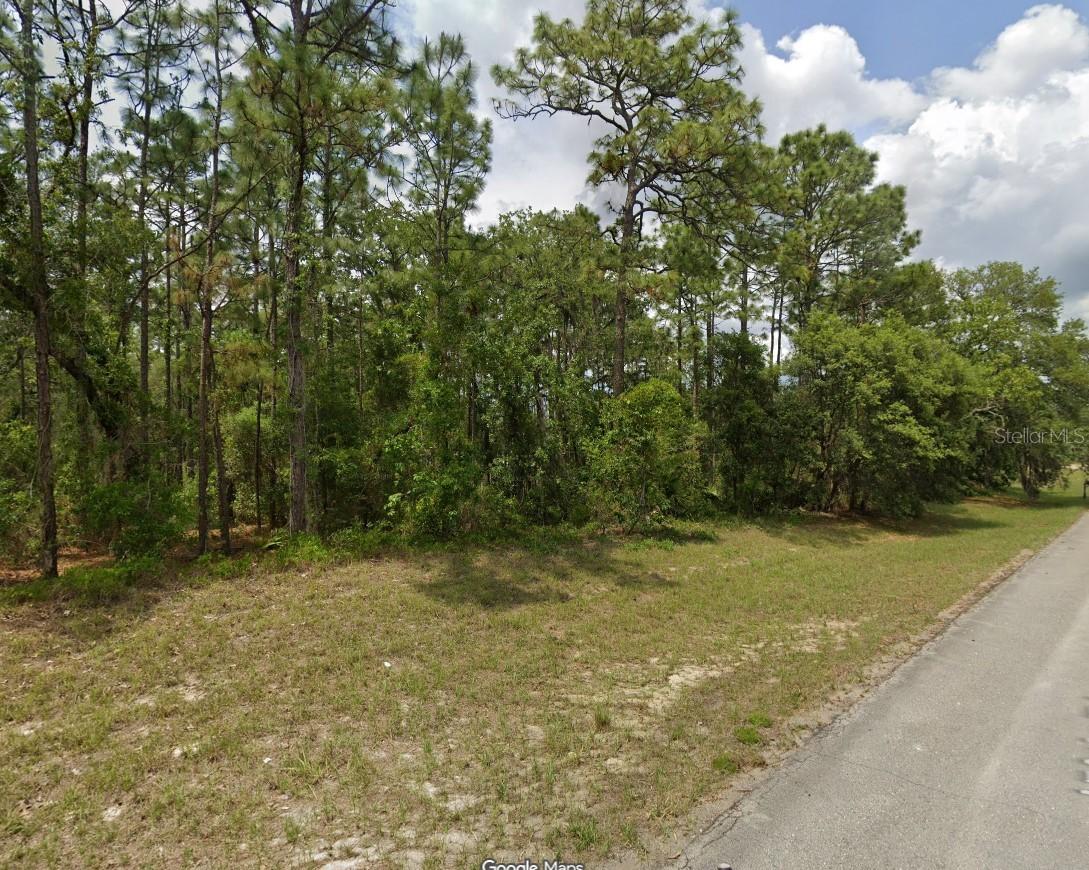 TBD SW 150th Pl., Ocala, FL 34473